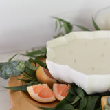 Paloma + Vanilla Frosting // Special Edition