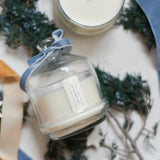 Gingersnap // Special Edition