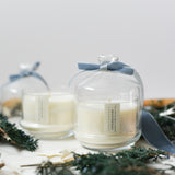 Gingersnap // Special Edition