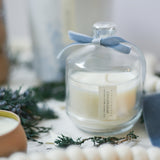 Gingersnap // Special Edition